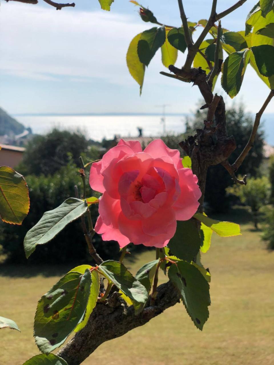 Welcome Traveller Villa Leda Garda  Exterior foto